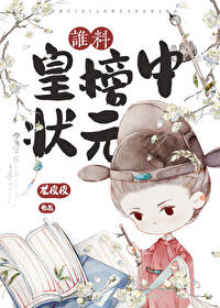 谁料皇榜中状元二胡独奏