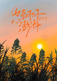 只朝你澎湃的小说免费阅读