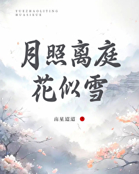 月照离亭花似雪什么意思