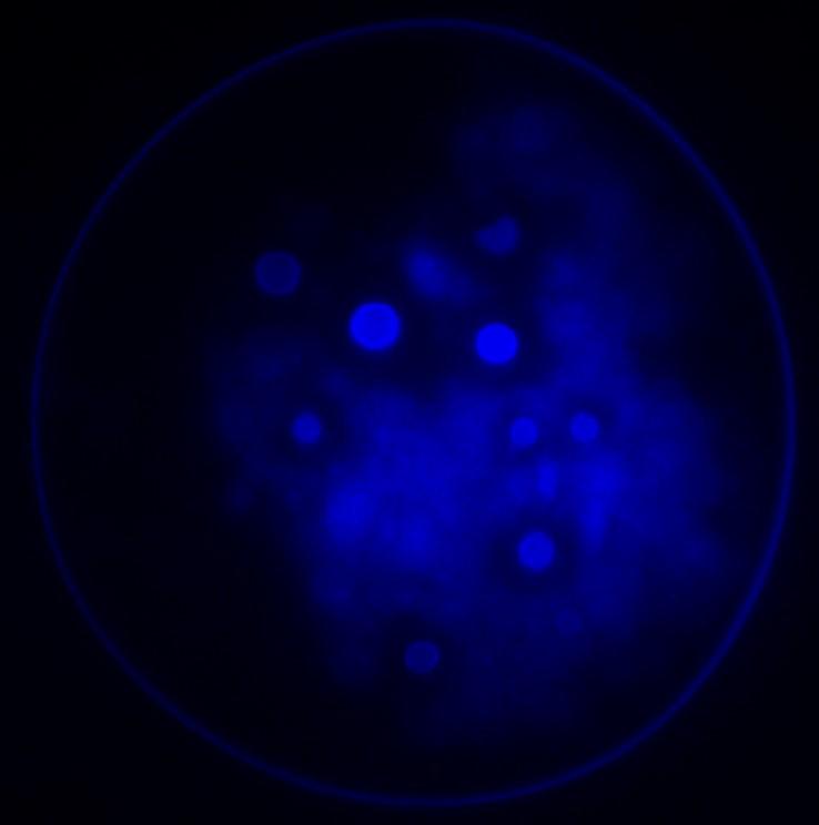 这个古神我认识 小说