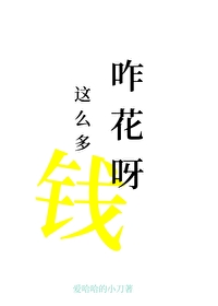 这么多钱咋花呀小说免费阅读