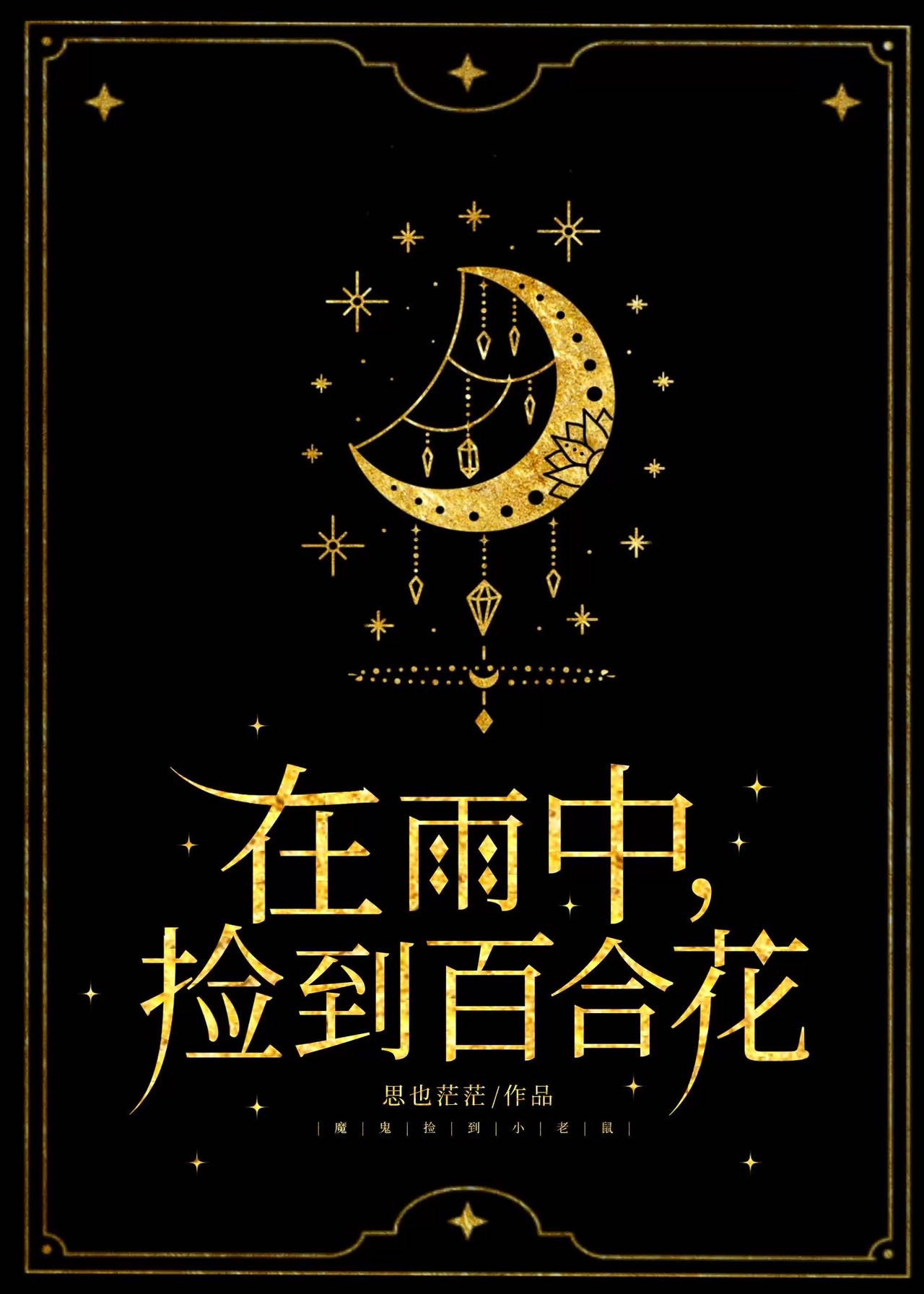 请帮我找到雨中百合